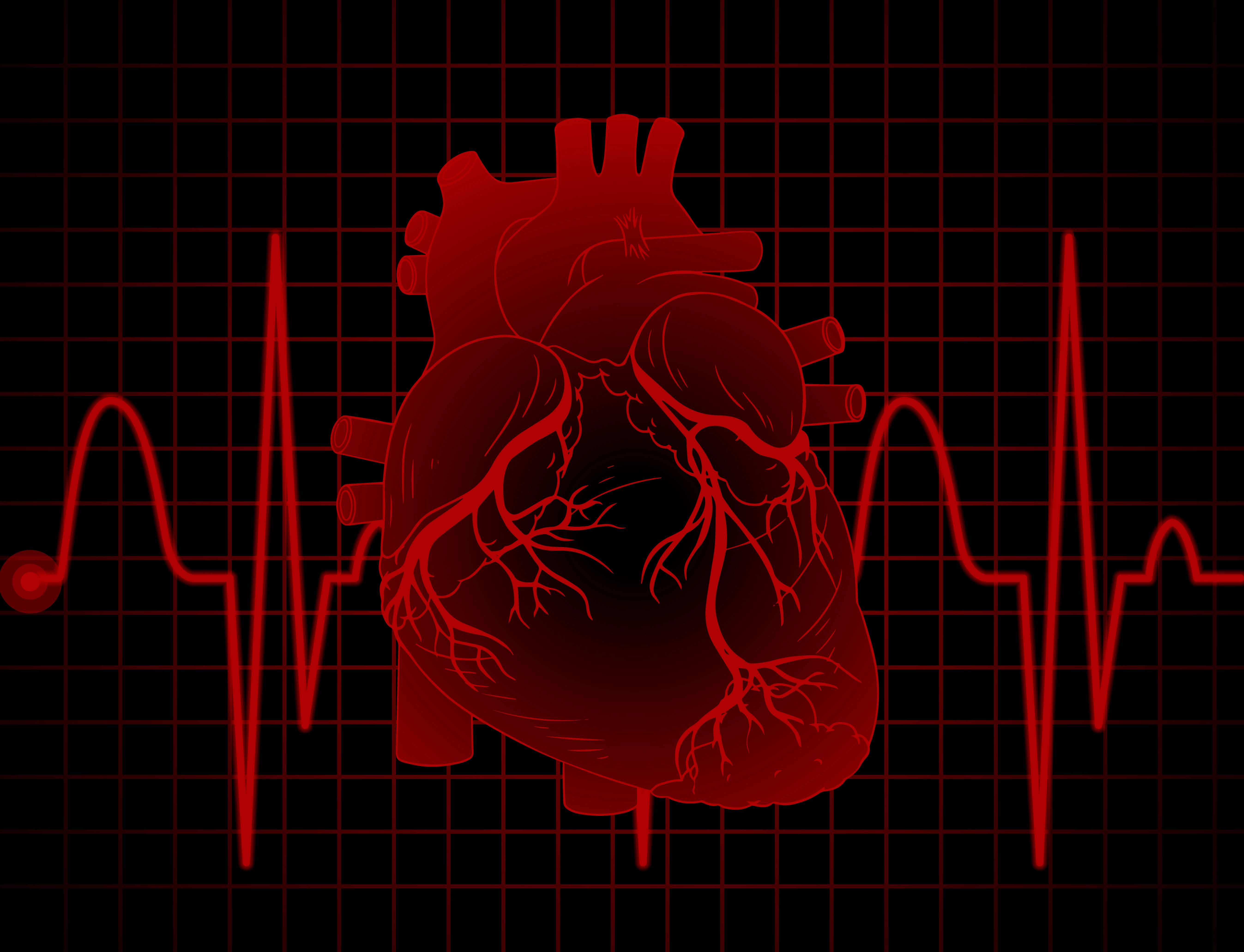 مخطط صدى القلب ماذا يكشف؟