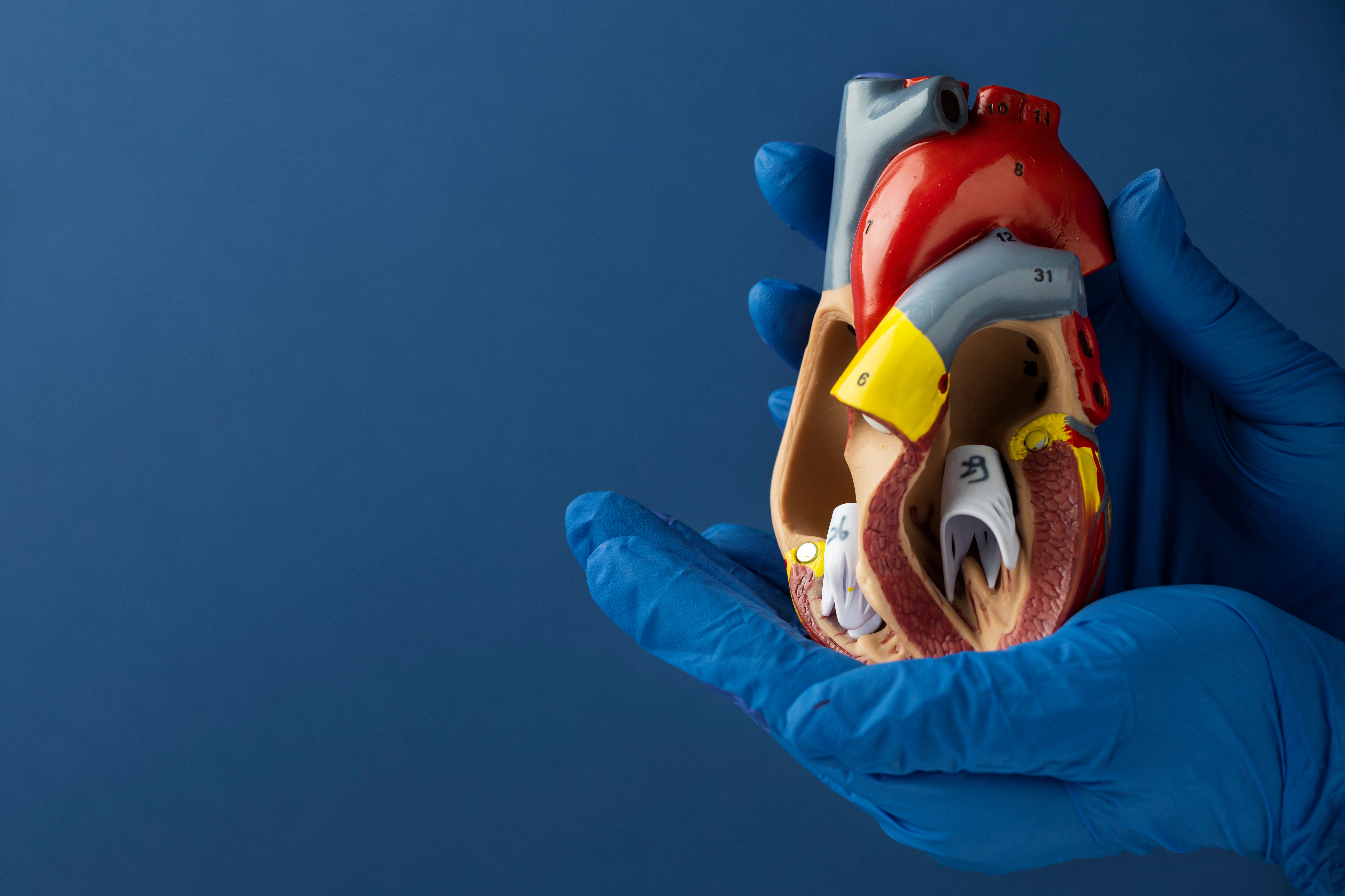 هل القسطرة القلبية خطيرة؟